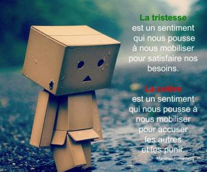 La tristesse et la colère