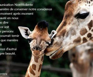 Une manière de conserver notre conscience