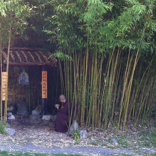 CNV et autres approches | Pratique de l'Ecoute de Soi et de la Pleine Conscience | Jalila Susini-Henchiri