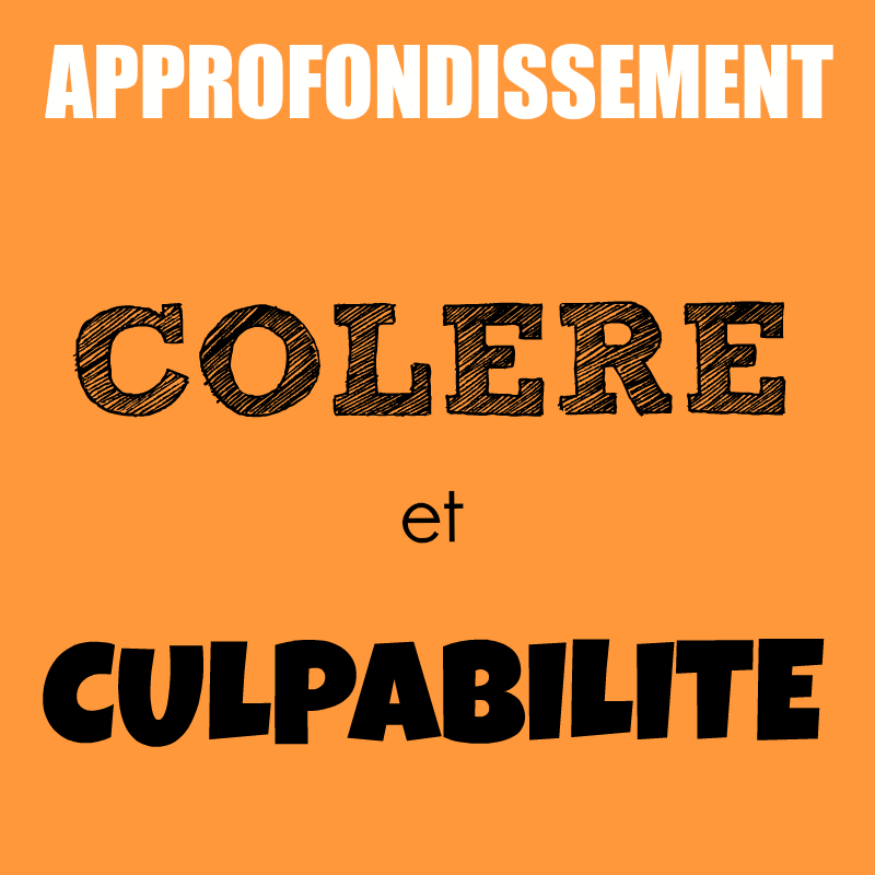 Approfondissement | Colère et culpabilité : les accueillir pleinement pour mieux les transformer en énergie de vie | Fabienne Poscia