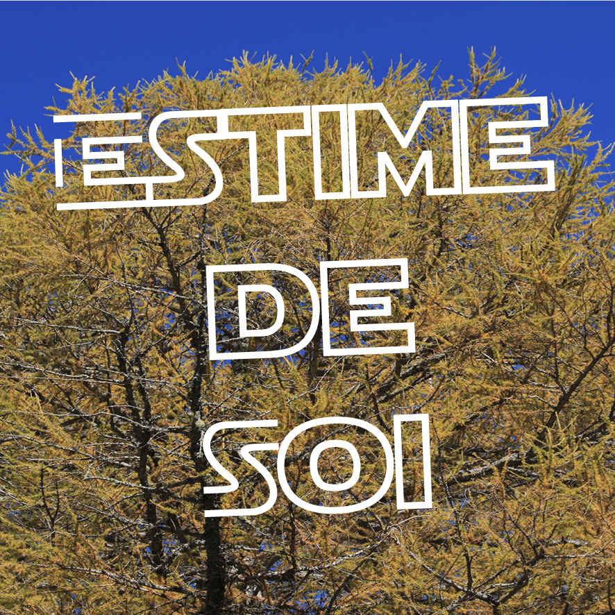 Séminaire thématique | Goûter à l'estime de soi et devenir acteur de son bonheur | Emmanuelle Vidick