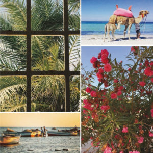 Stage résidentiel Interculturel, Djerba, Tunisie | Anne Bourrit, Jalila Susini-Henchiri