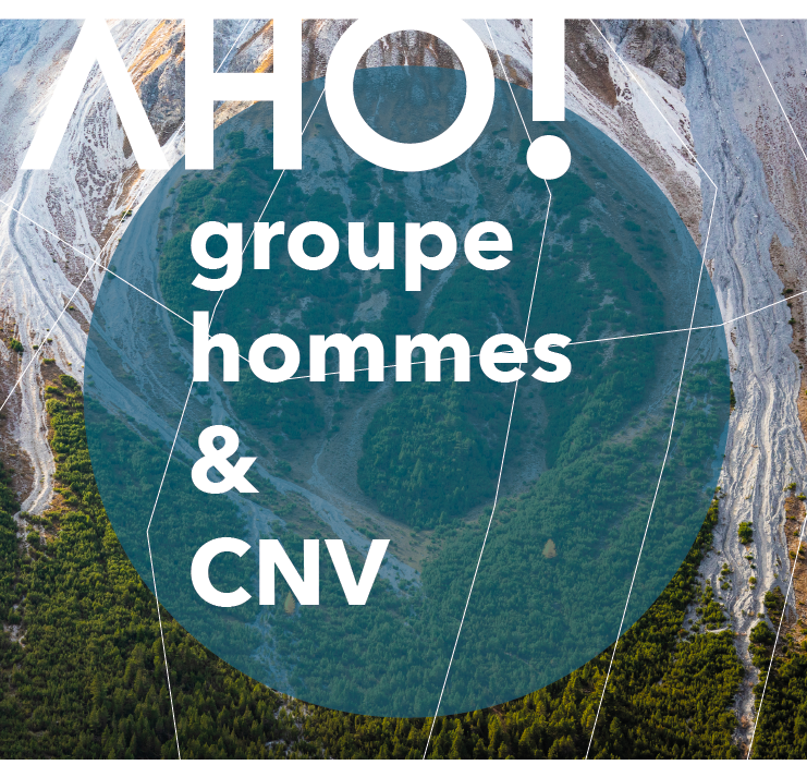 CNV et autres approches | Aho ! Groupe hommes | Vincent Delfosse
