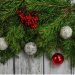 Séminaire thématique | Noël tout pourri ou Noël réussi ? | Emmanuelle Vidick