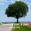 CURSUS : Cheminer pas à pas avec la CNV | Fabienne Poscia