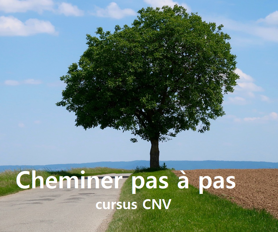 CURSUS : Cheminer pas à pas avec la CNV | Fabienne Poscia