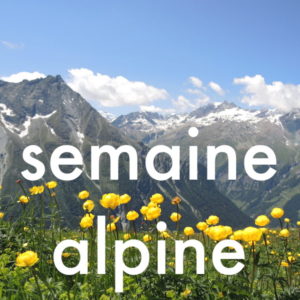 CNV et autres approches | randonnées et ateliers CNV en montagne | Vincent Delfosse