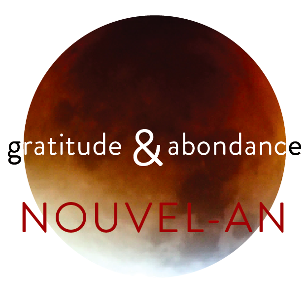 CNV et autres approches | Nouvel An en conscience | Séjour résidentiel en montagne | Vincent Delfosse