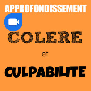 Approfondissement | Colère et culpabilité : les accueillir pleinement pour mieux les transformer en énergie de vie | Pascal Gremaud