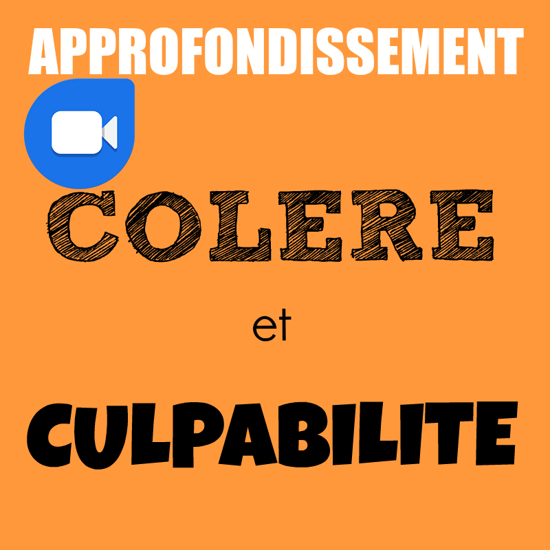 Approfondissement | Colère et culpabilité : les accueillir pleinement pour mieux les transformer en énergie de vie | Pascal Gremaud