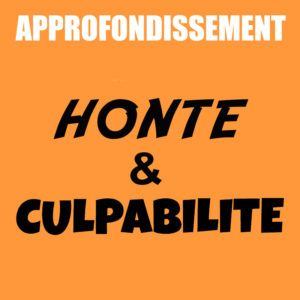 Approfondissement | Accueillir la honte et la culpabilité et reprendre le pouvoir de mes choix |  Jalila Susini-Henchiri