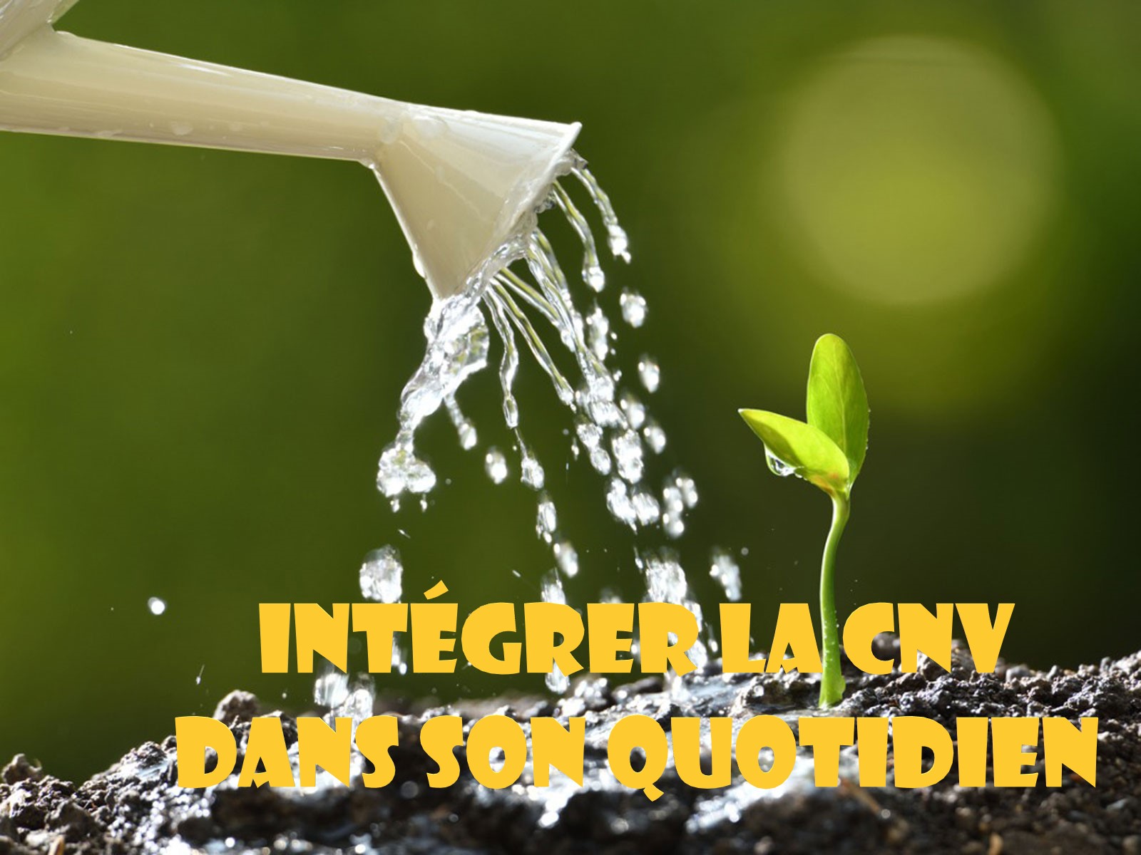 Cursus : Intégrer la CNV dans son quotidien | Angela Boss