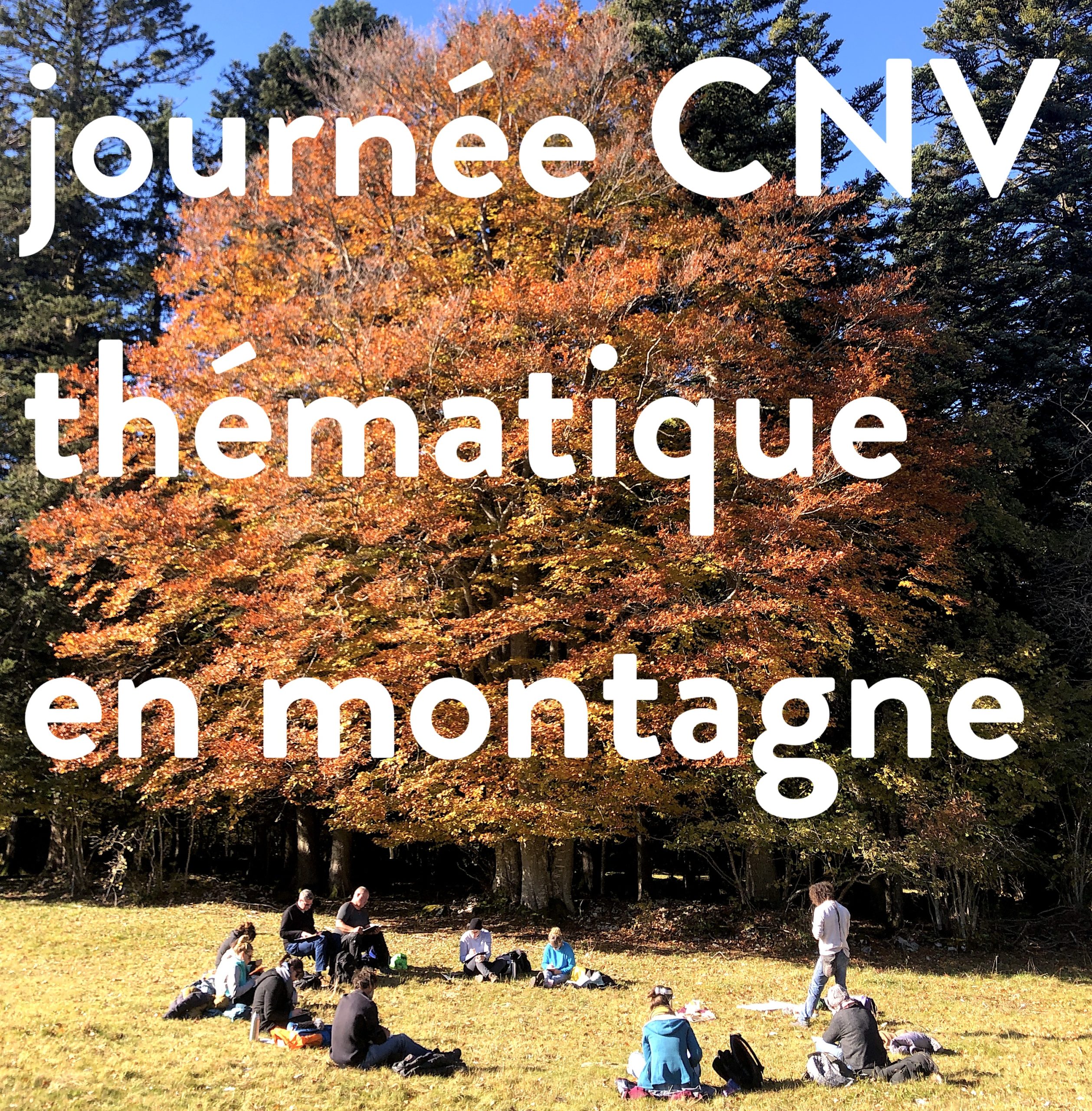 Séminaire thématique | Journée thématique : gratitude et approche appréciative | Vincent Delfosse - en nature