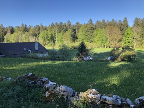 Pâturage Chaumont lieu formations Vincent Delfosse