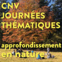 Séminaire thématique | Journée thématique : oser l&rsquo;expression authentique ! | Vincent Delfosse – en nature