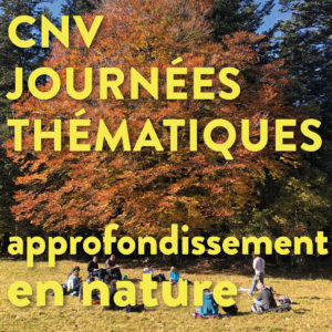 Séminaire thématique | Journée thématique : oser l'expression authentique ! | Vincent Delfosse - en nature