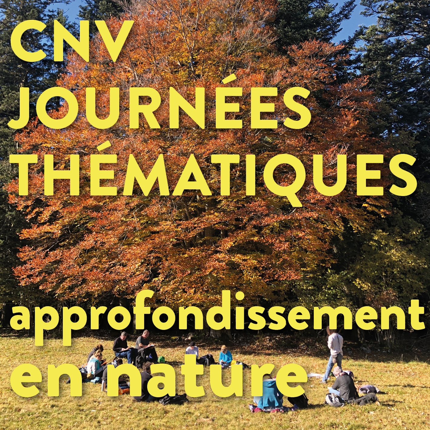 Séminaire thématique | Journée thématique : oser l'expression authentique ! | Vincent Delfosse - en nature