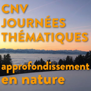 Séminaire thématique | Journée thématique : cultiver l'estime de soi | Vincent Delfosse - en nature