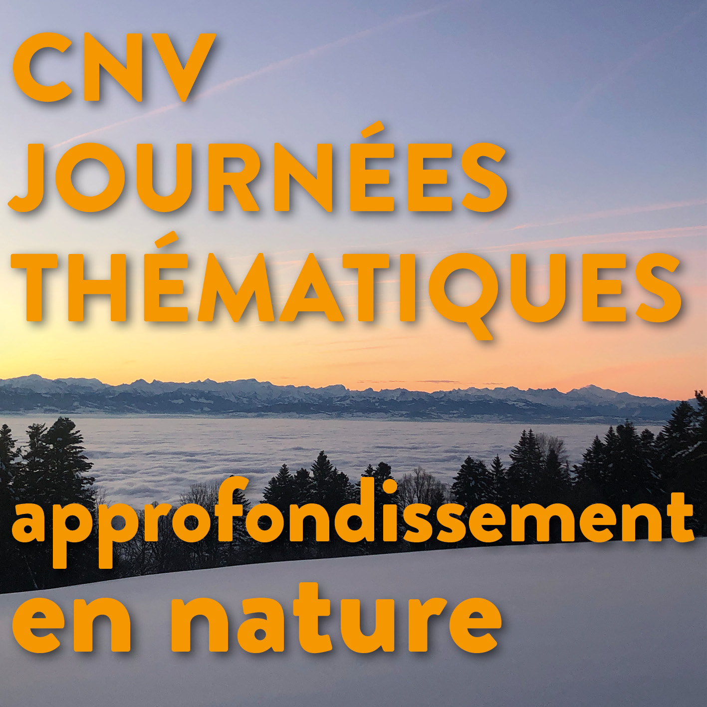 Séminaire thématique | Journée thématique : cultiver l'estime de soi | Vincent Delfosse - en nature