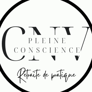 CNV et autres approches | Vivre la Communication NonViolente et la Pleine Conscience au quotidien | Arnaud Durand