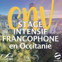 Séminaire thématique | Stage Intensif Francophone de CNV | Vincent Delfosse & équipe internationale