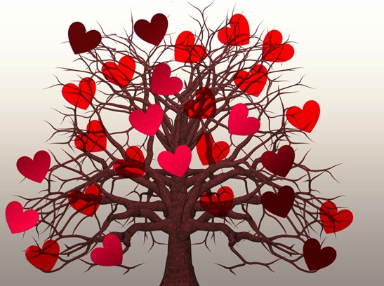 CURSUS CNV et éducation | Fabienne Poscia