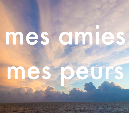 Séminaire thématique | Mes amies mes peurs !  | Vincent Delfosse