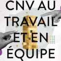 Séminaire thématique | CNV au travail et en équipe | Vincent Delfosse